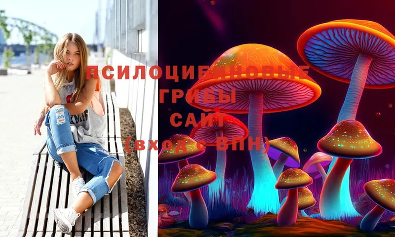 Галлюциногенные грибы Psilocybe  купить наркотики сайты  Покров 